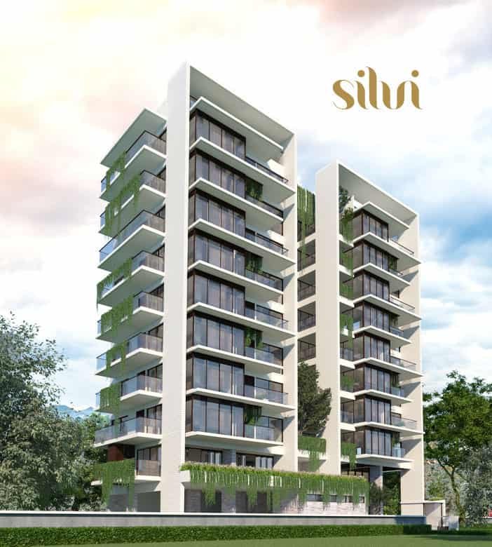 silvi 003341